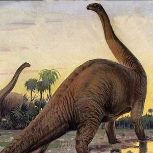 Meet your Posher, Annika